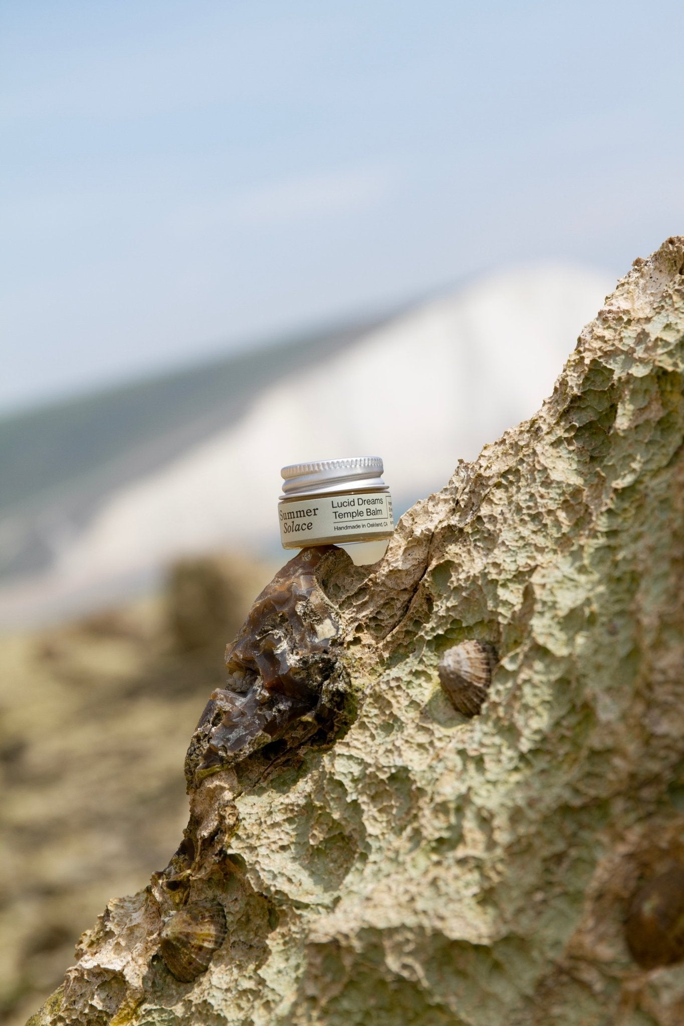Lucid Dreams & Meditation Balm - Mugwort, White Lotus, Piñon Pine